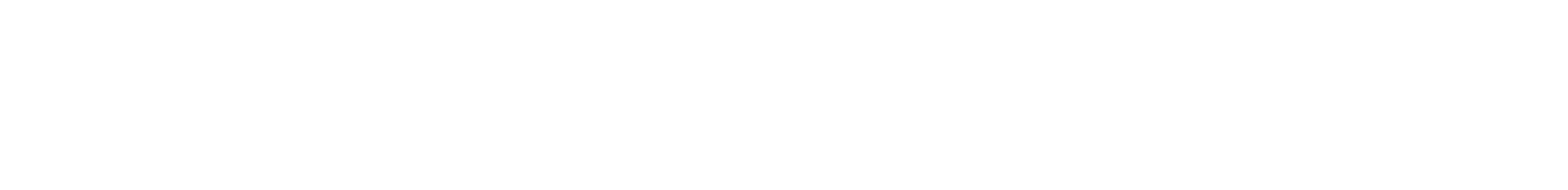 Board and Investors